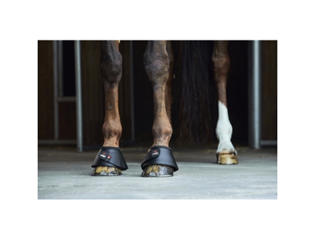 Campanas para caballo CATAGO FIR-Tech