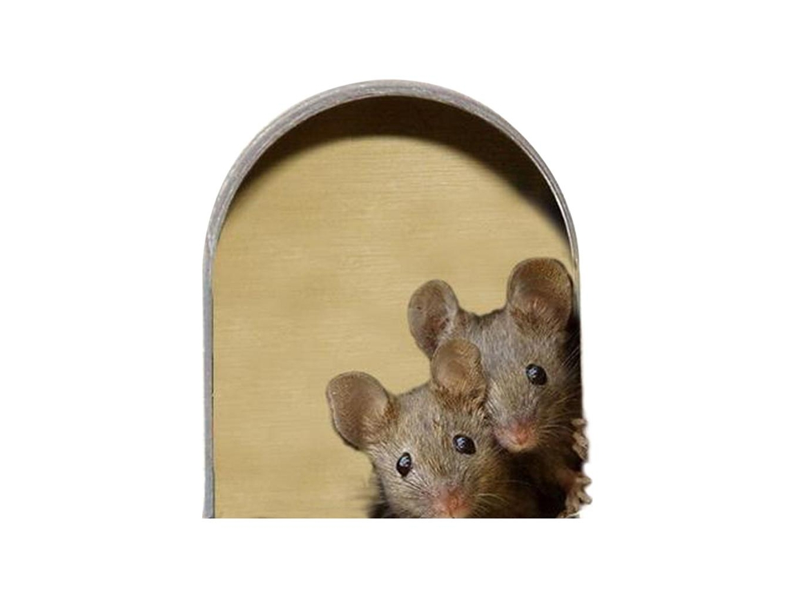 Calcomanía de pared decorativa "Ratonera" para cocina y hogar
