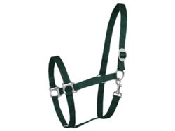 Cabeçada Perlon Verde Ponywaldhausen