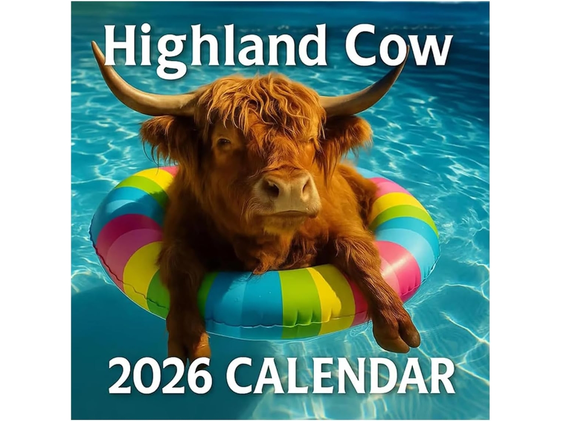 Calendario 2026 12 - Agenda 2026 De Pared Highland Cow, Planificador Mensual De Papel Grueso Para Profesores
