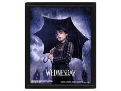 Póster 3D WEDNESDAY Umbrella