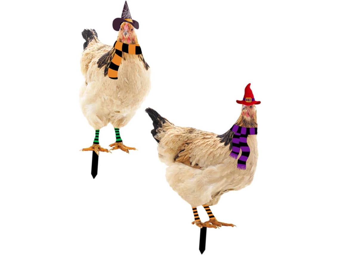 Juego de 2 figuras decorativas de pollo para jardín, decoración de Halloween, letrero decorativo para césped Vayotoy
