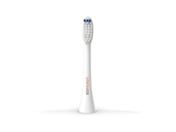 Concepto Zk0050 Cabezas De Reemplazo Para Cepillos De Dientes Perfect Smile Zk500x, Limpieza Diaria, 4 Piezas, Blanco Concept