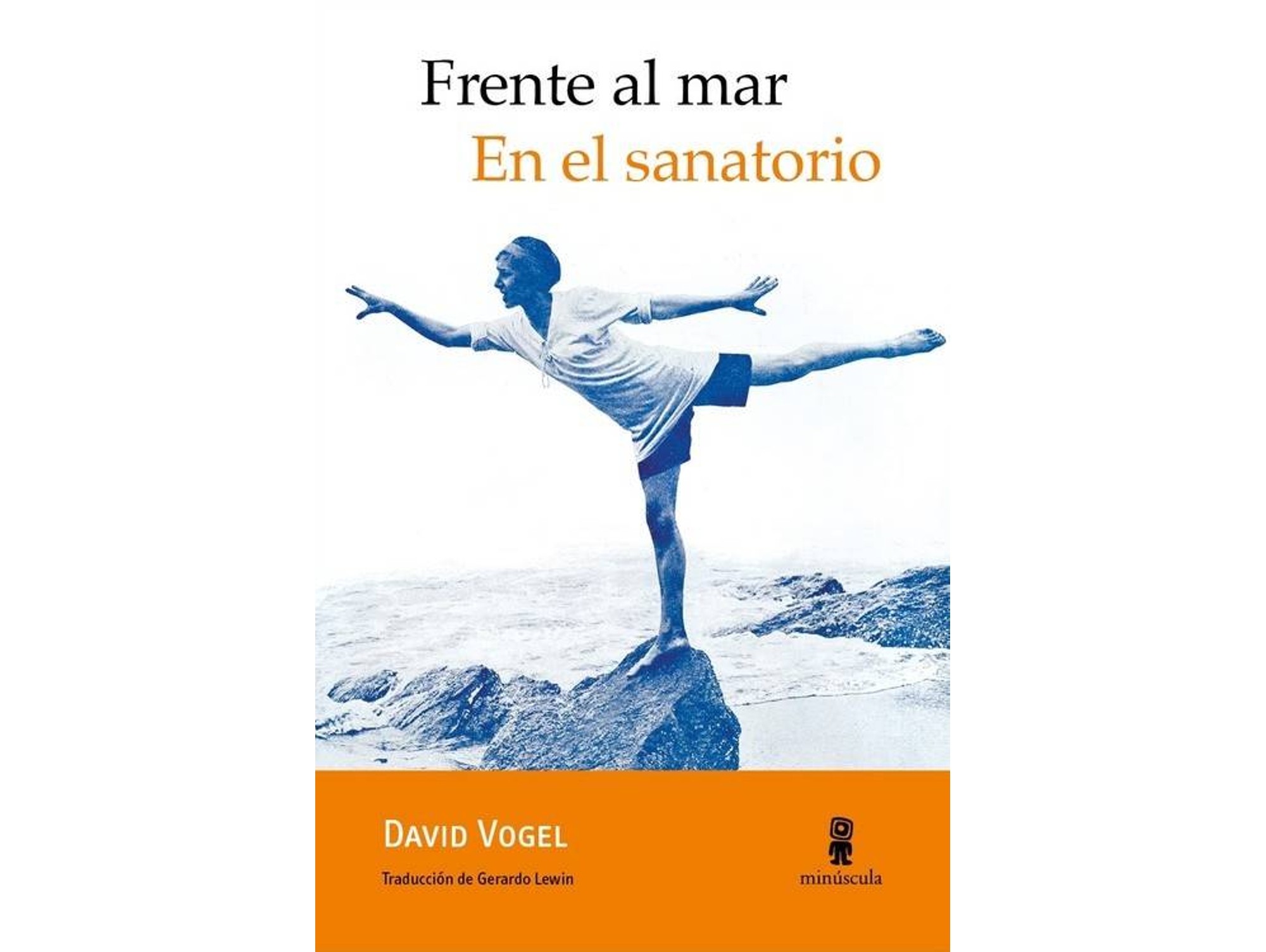 Libro Frente Al Mar de David Vogel (Español)