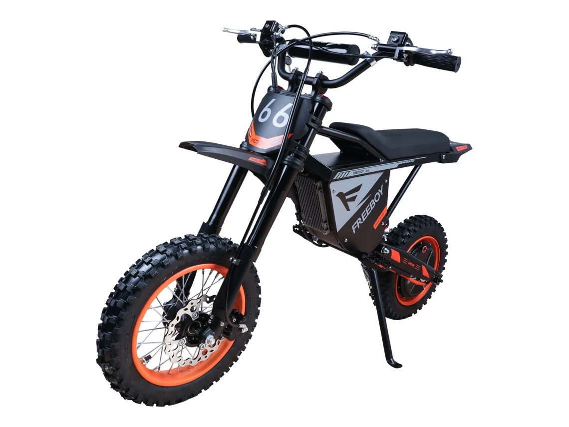 Bicicleta Eléctrica Todoterreno Freeboy Y66 Para Adolescentes Con Batería De 48 V Y 30 Ah Y Doble Suspensión.