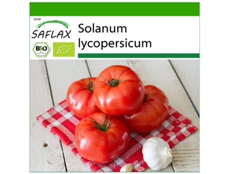 SAFLAX Ecológico Tomate San Pedro 15 semillas Con sustrato de cultivo libre de gérmenes Solanum lycopersicum