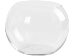 Jarrón Transparente De 1 Pieza Para Plantas Hidropónicas, Decoración De Oficina