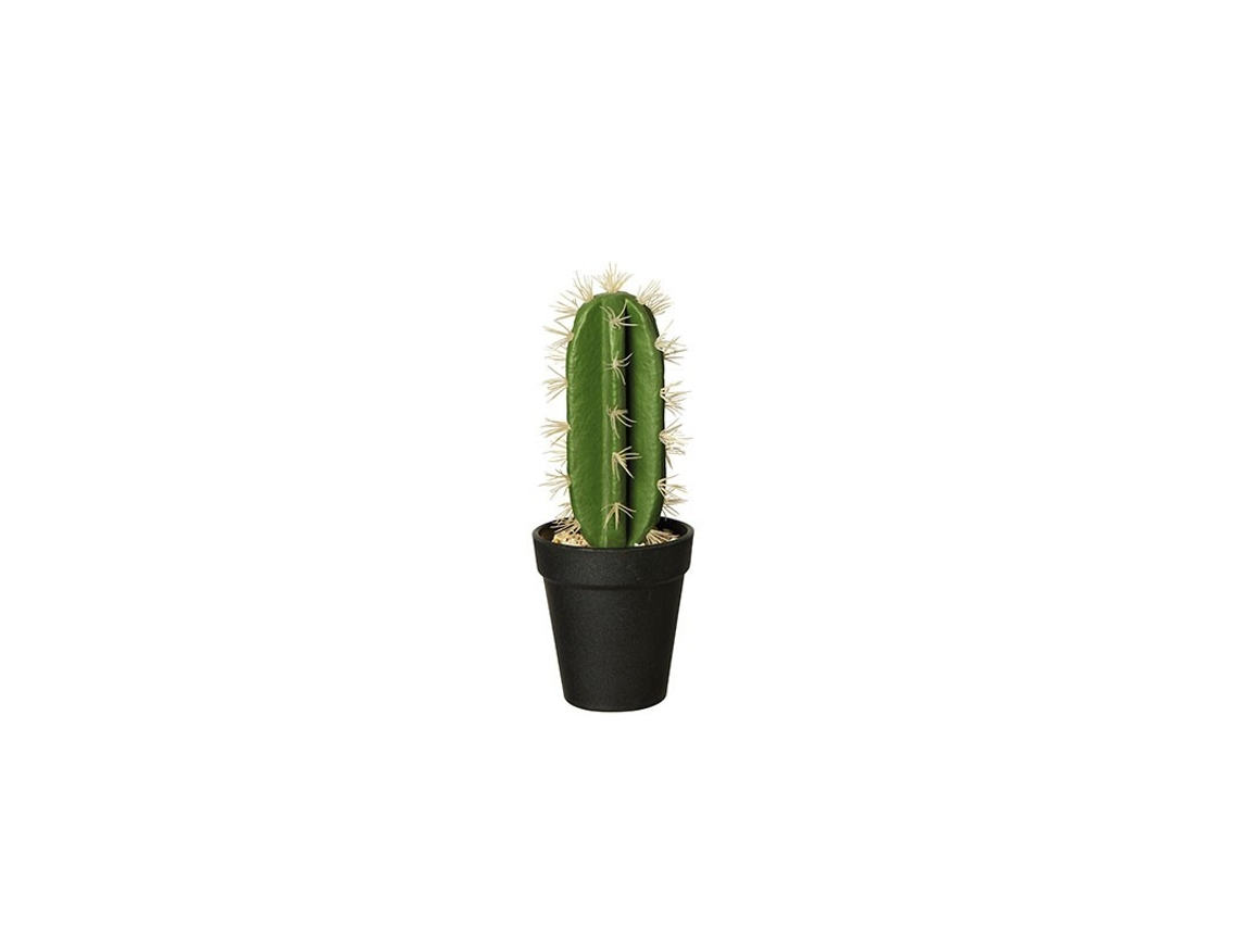 Florero Con Cactus 'Euphorbia Ingens' 26Cm - Deko ASA SELECTION
