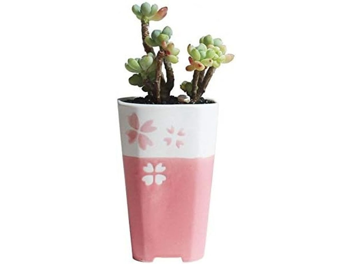Jarrones De Cerámica En Miniatura Para El Hogar, Jardín, Oficina Y Uso Interior, Color Rosa.