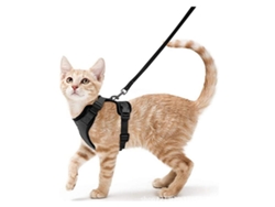 Correas y arneses para pasear gatos* ZYBLSSBB