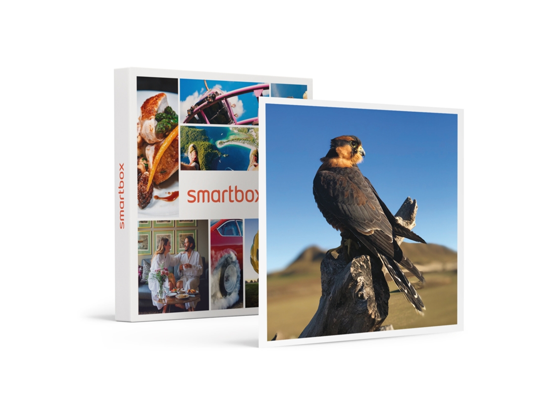 Caja Regalo SMARTBOX Una jornada cetrera en familia de 2 horas