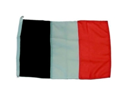 Bandeira Da Irlanda Colorido 30 X 45 Cmgoldenship