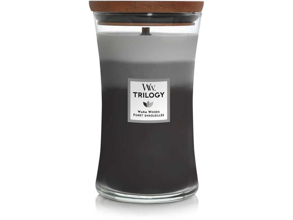 Velas grandes de vidrio Woodwick 93911e