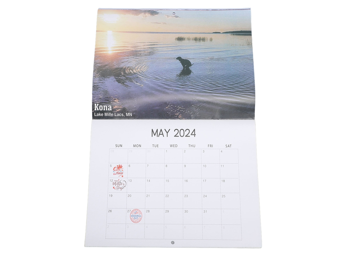 Calendario De Pared 2024: Perros Graciosos Haciendo Caca, Paisajes Impresionantes Para El Hogar.