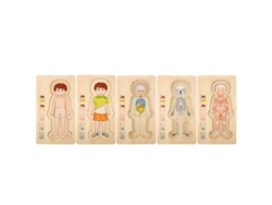 Ats-juguete De Ladrillos De Estructura Corporal Humana De Madera Multicapa Juguete Educatsivo Inteligente Para Niños