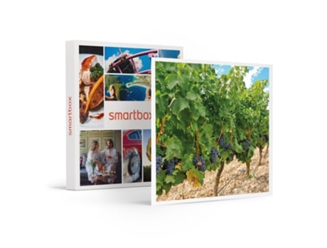 Caja Regalo SMARTBOX Bodegas Santalba: vista a bodega, viñedo y cata de 3 vinos con 2 productos típicos
