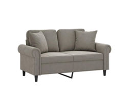 Sofá 2 Plazas Almohadas Y Cojines Terciopelo Gris Claro 120 Cm