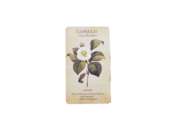Plant-inspired Oracle Cards Es Un Juego De Mesa Con 44 Cartas, Que Incluye Un Manual Electrónico, Y Puede Utilizarse Como Sustituto De Las Cartas De Juego.