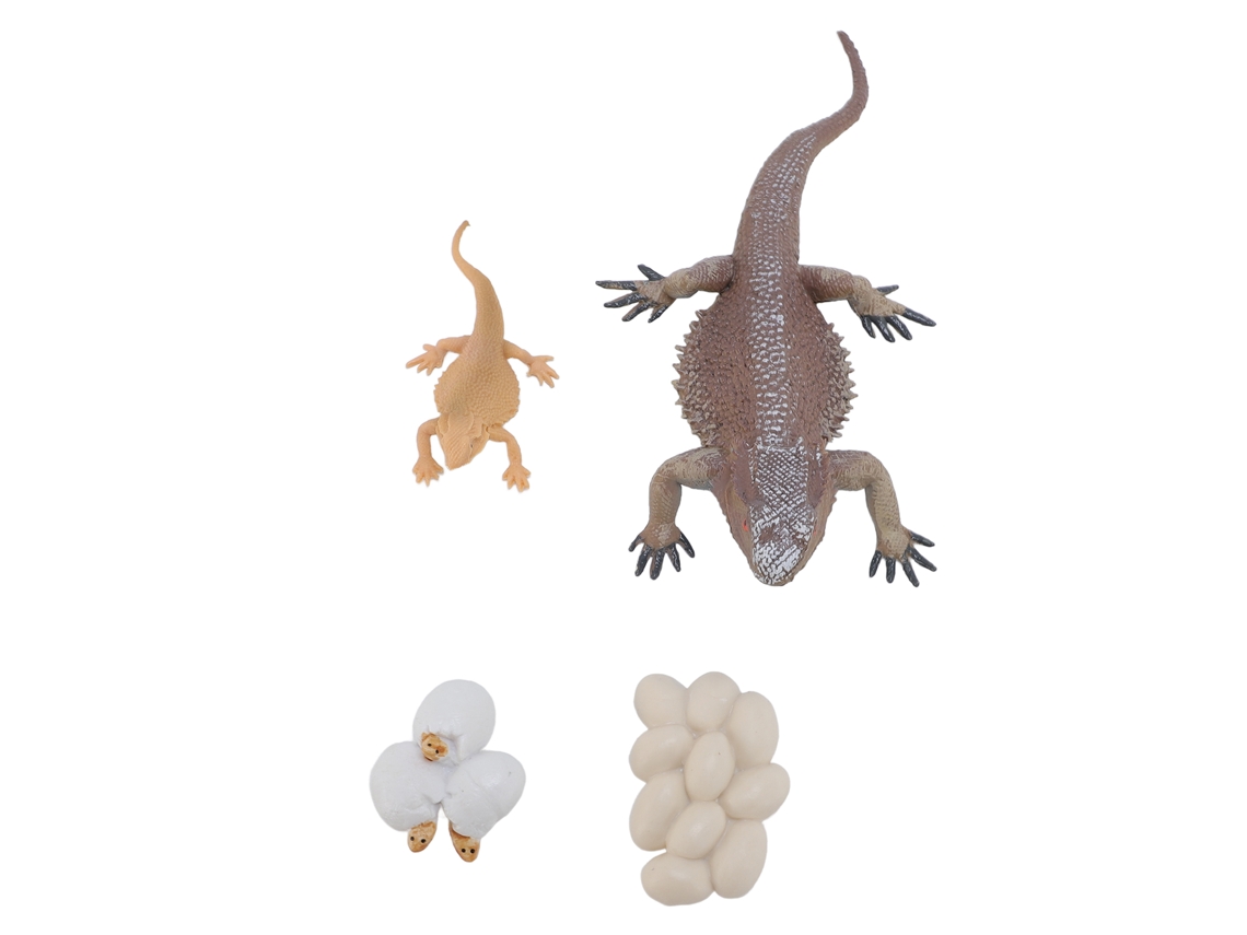 Juguete sobre el ciclo de vida de un lagarto, figura educativa interactiva, animal reptil simulado para el hogar y la escuela.