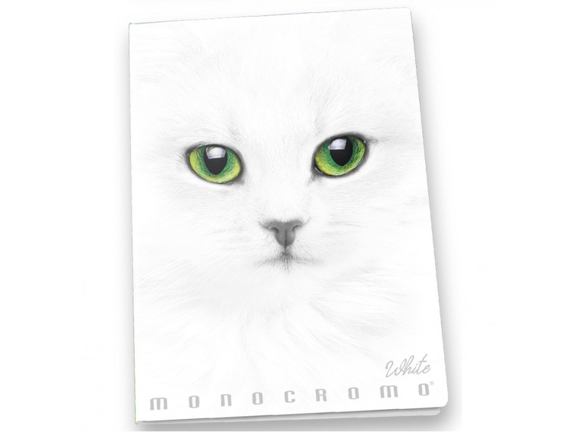 PIGNA Monocromo Cuaderno Y Block A4 19 Hojas Blanco