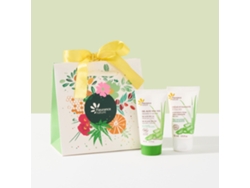 Bolsa pequeña con cinta amarilla y dúo de aloe vera