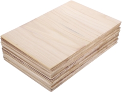 Juego de 20 tablas de karate de madera, 0,3 cm x 0,6 cm