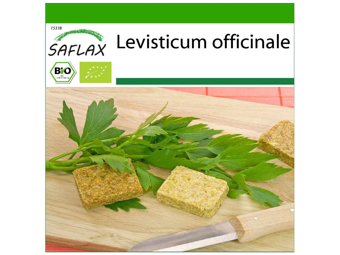 SAFLAX Ecológico Apio de monte o levístico 100 semillas Con sustrato de cultivo libre de gérmenes Levisticum officinale