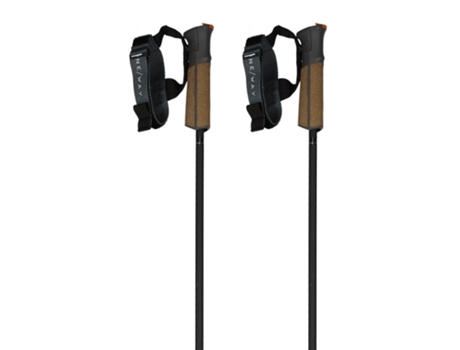 Bastón FISCHER Pólos Gt 11 Carbon Mag Castanho 120 cm