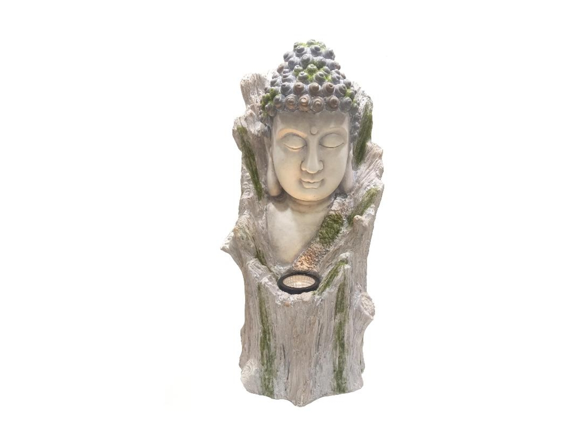 Cabeza buda tronco solar 54549
