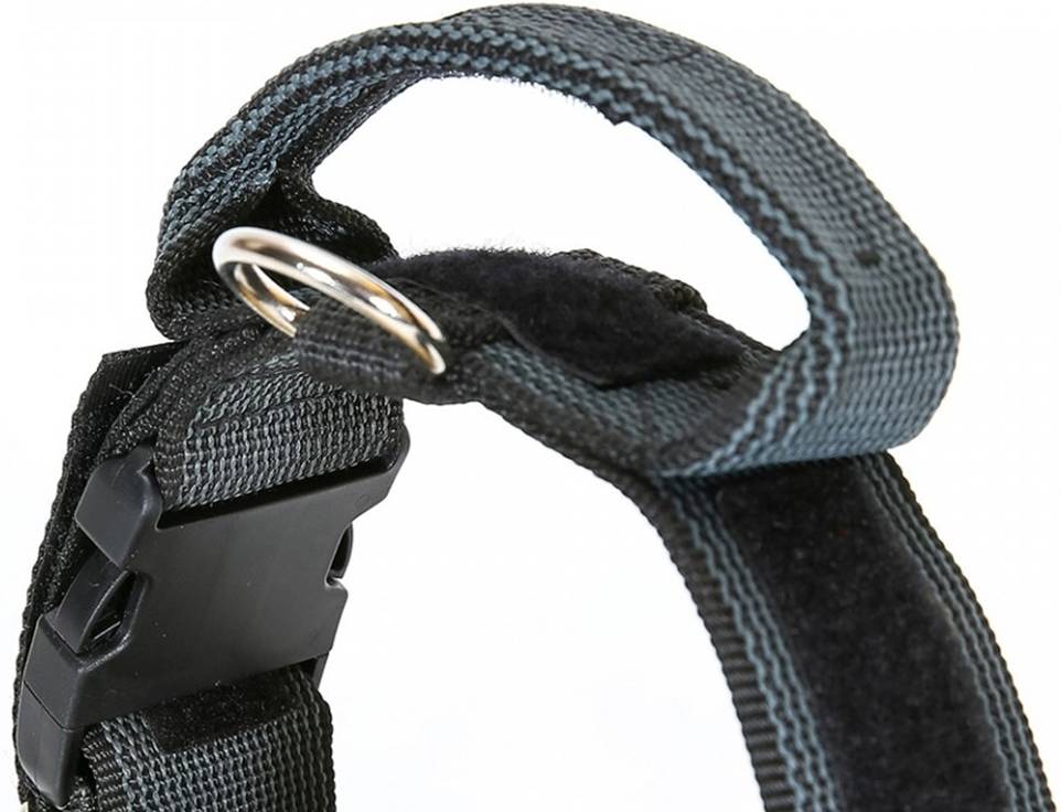 Juliusk9 Collar Color gray con la manija cerradura de seguridad y el remiendo intercambiables 50 mm 4970 cm negro para perros 4970x5cm