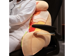 Soporte lumbar multifuncional patriótico con diseño de vídeo - Gran Muralla de Chaberlu