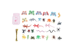 Juego de tarjetas decorativas de San Valentín - Insectos