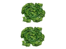 Paquete de 24 hojas de hiedra artificial para decoración de pared de jardín.