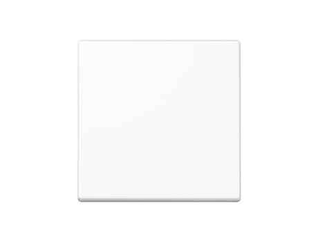 Tecla Simple a Blanco Alpino JUNG