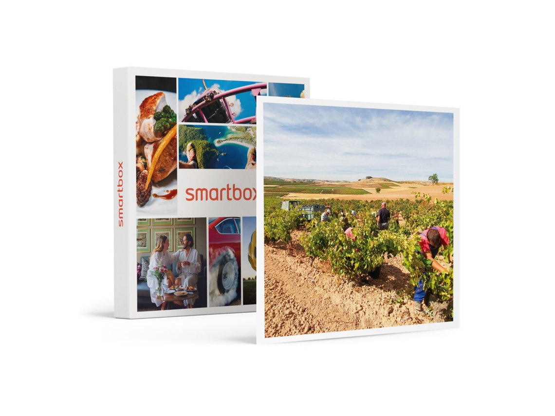 Caja Regalo SMARTBOX Bodegas Hesvera D.O. Ribera Del Duero: Visita a Bodega Y Cata de Vinos