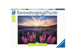 Puzzle RAVENSBURGER 17492 Lupines 500 Piezas