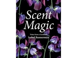 Libro Scent Magic de Isabel Bannerman (Inglés - Tapa Dura)