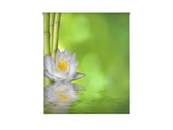 Estor Enrollable HAPPYSTOR Estampado Digital Zen HSCZ6040 200x250 cm
