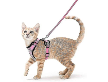Arnés y correa para gatos Arneses de chaleco ajustables suaves Gatos a prueba de escape YDCY Control fácil