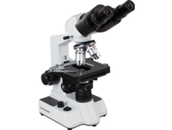 Microscopio  Researcher Bino