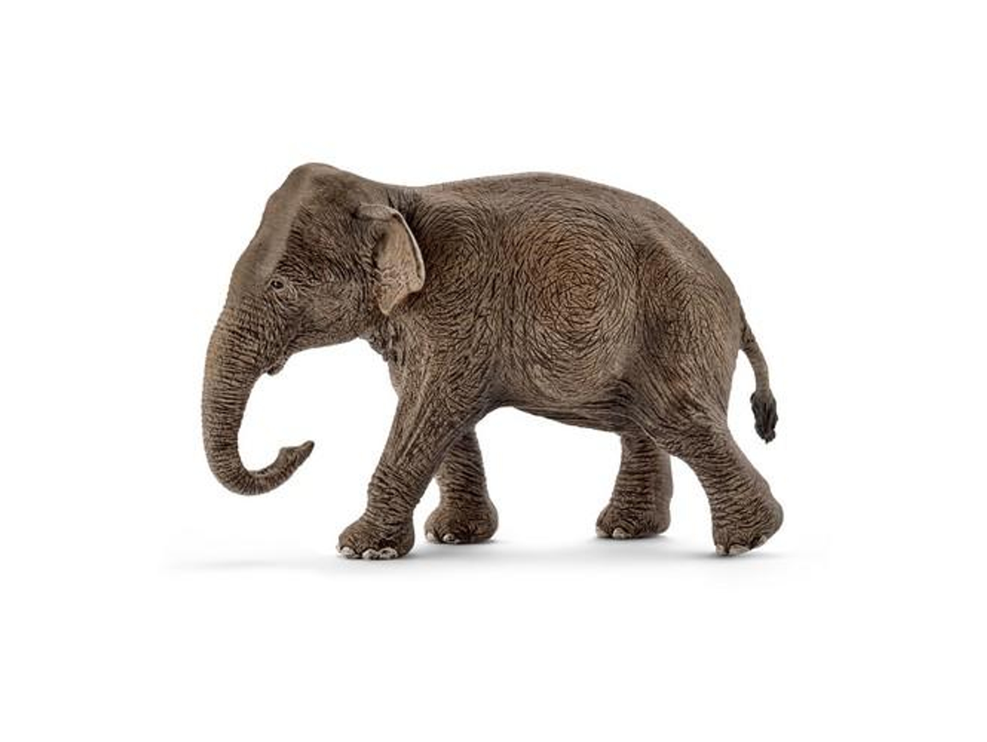 Figura SCHLEICH Elefante Asiático Hembra