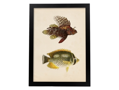 Póster NACNIC de Dos Peces Marron, Amarillo y Verde en , Fondo Papel Vintage.