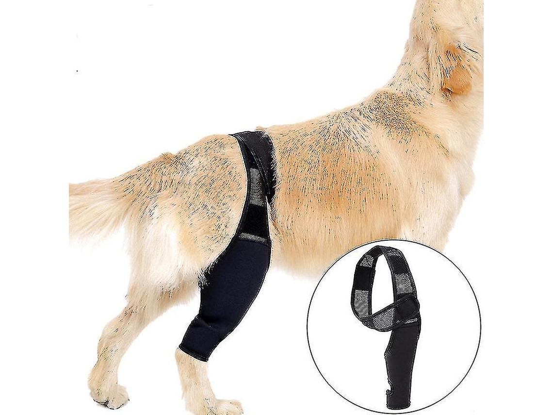 Rebe-faja De Rodilla Para Perros Con Acl, Dislocación De Rotula, Artritis Mantiene La Articulación Caliente Reduce Dolor E Inflamación S