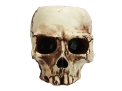 Maceta De Resina Con Forma De Calavera Para La Decoración Del Hogar O La Oficina, Con Un Diseño Creativo.
