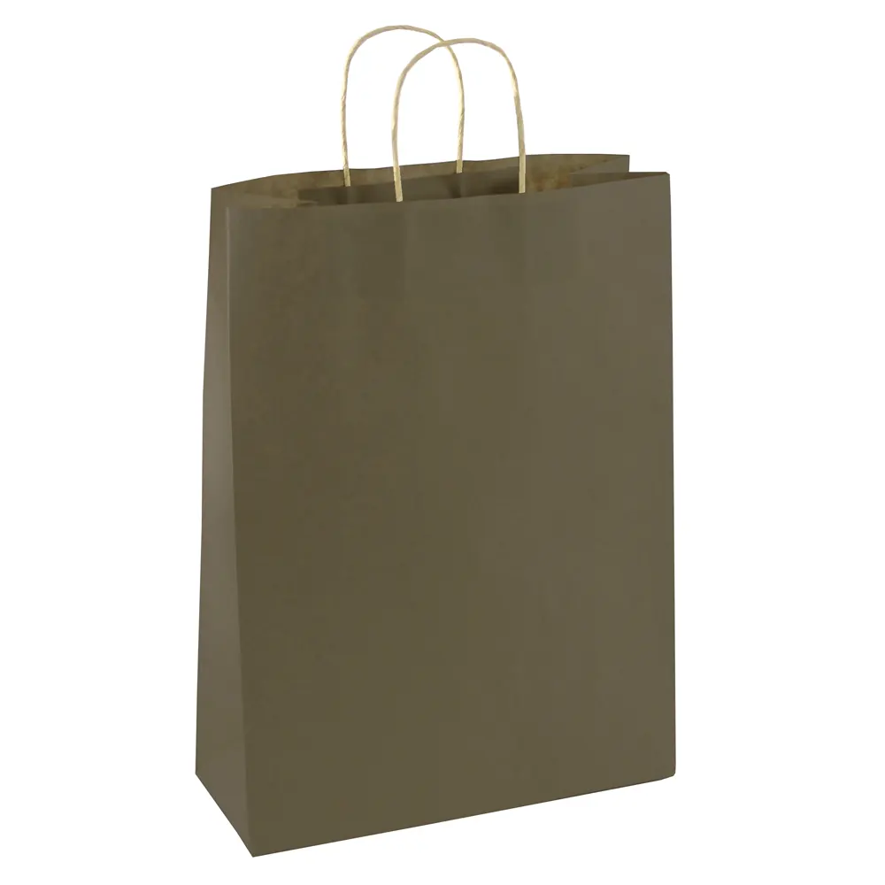 Bolsa de Papel EUROPRICE Kraft Sn (1 Unidade - Plateado - 24 x 32 10 cm)