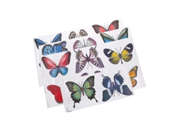 20 Pegatinas Decorativas.