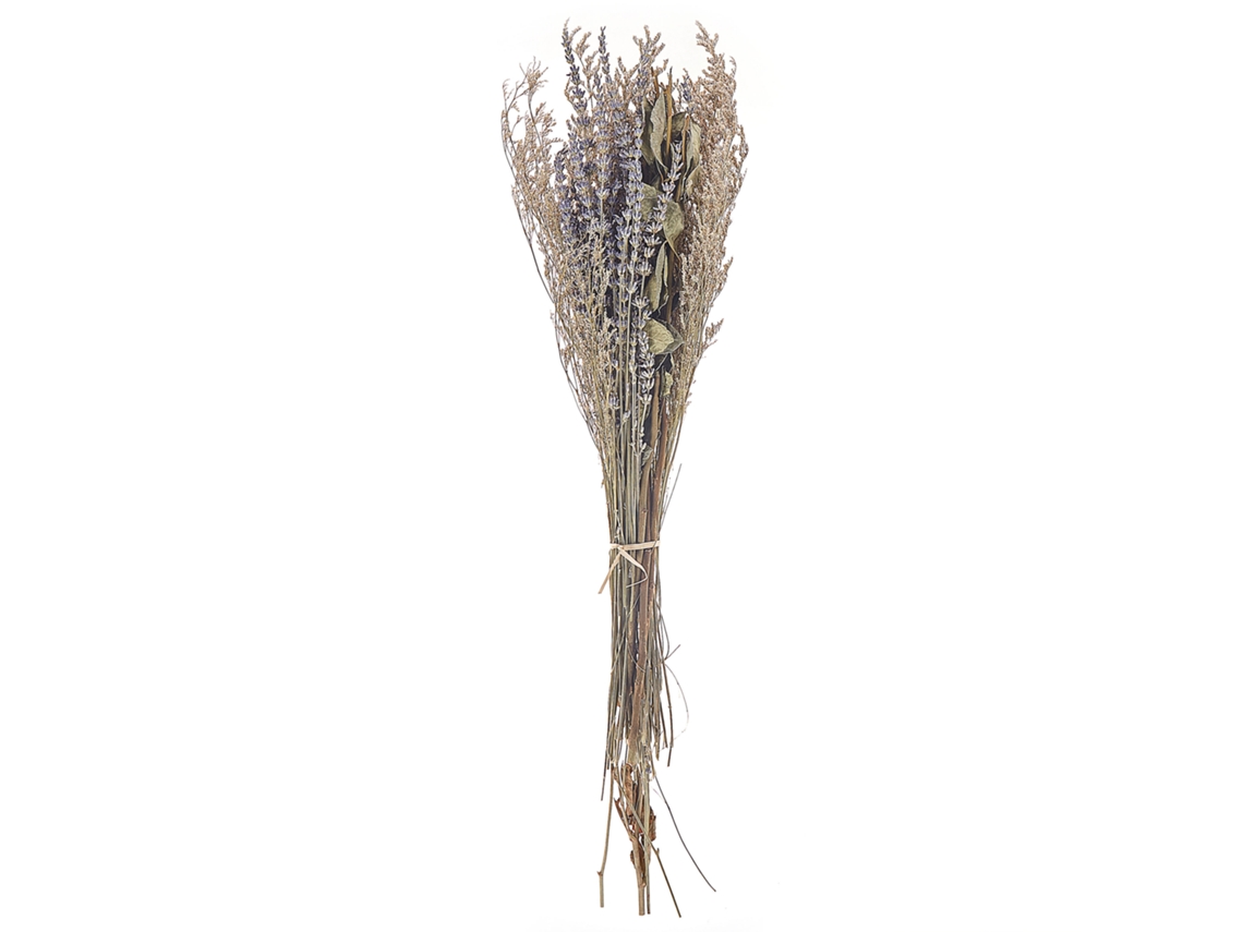 Ramo de flores secas BELIANI Nawarra de Flores secas Natural 20x6x70
