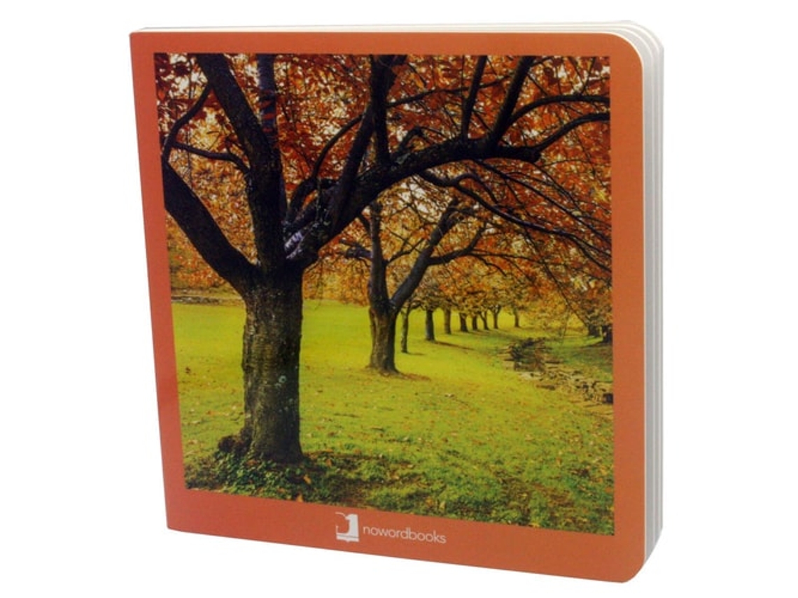 Libro Otoño de Nowordbooks (Español)