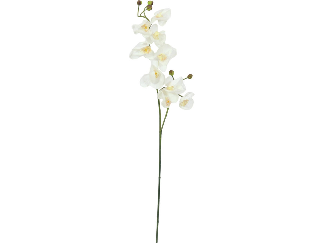 Planta Artificial EUROPALMS Orchid Branch (Blanco - 100 cm)