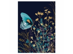 Libreta A5 Rayada 25 páginas Aquarupella Mariposa 23310